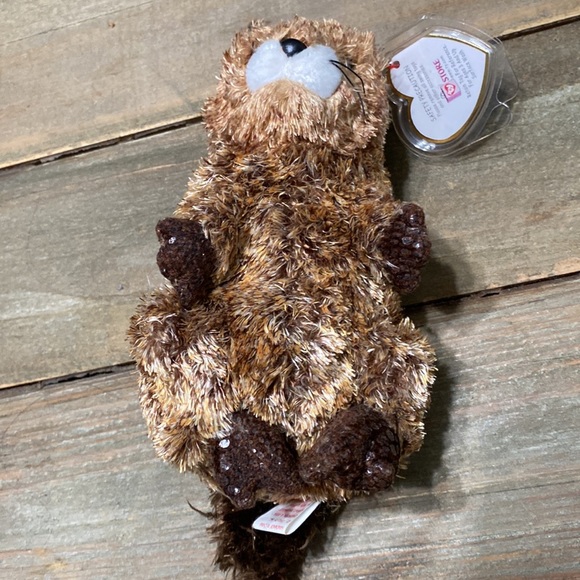 Ty Beanie Babies Baby PUNXSUTAWN-E PHIL Groundhog Rare Vintage Collectible Plush - Picture 4 of 8
